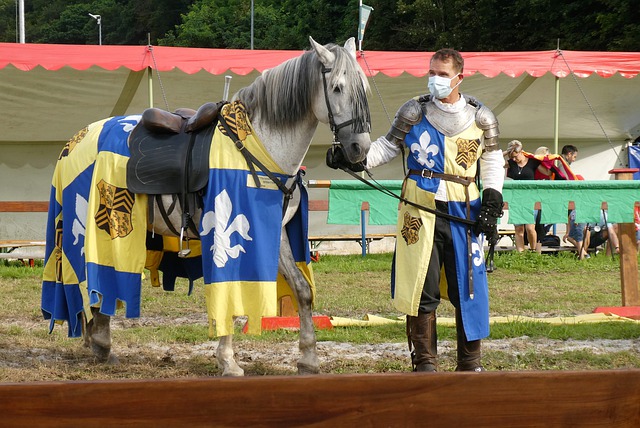 福建队的锋 福建队的锋