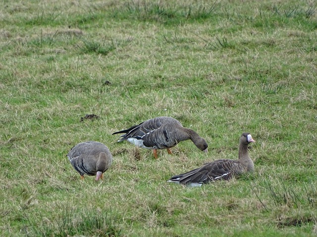 他不断强调 他不断强调