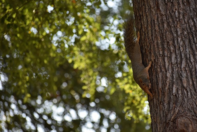综合来看 综合来看