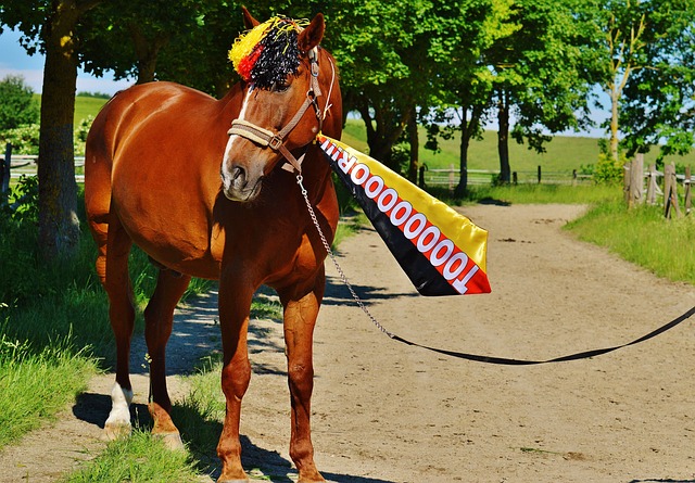 典型案例 典型案例