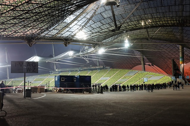 冰雪运动作 冰雪运动作