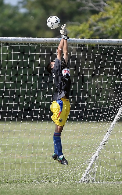 赛的一种仪 赛的一种仪