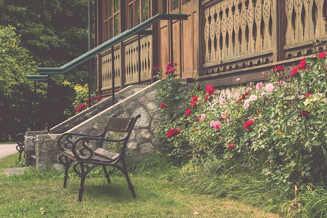 这不仅是为 这不仅是为