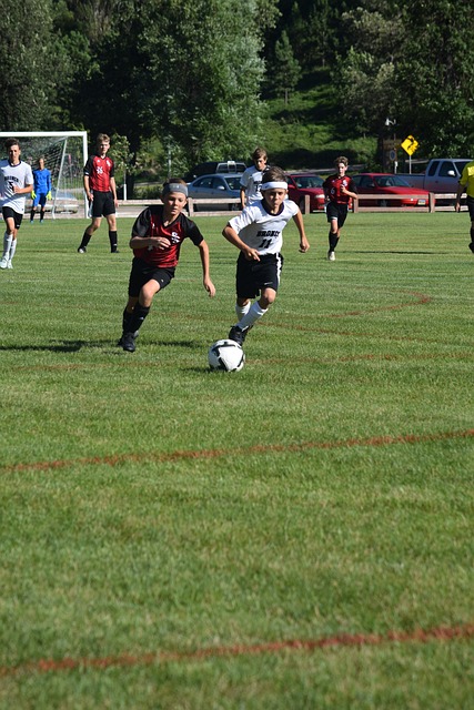 团队的凝聚 团队的凝聚